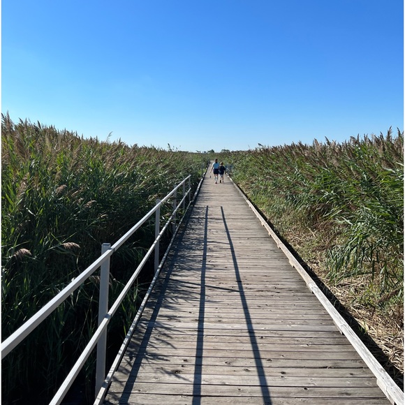 Meet your Posher, Danielle - Picture 2 of 2